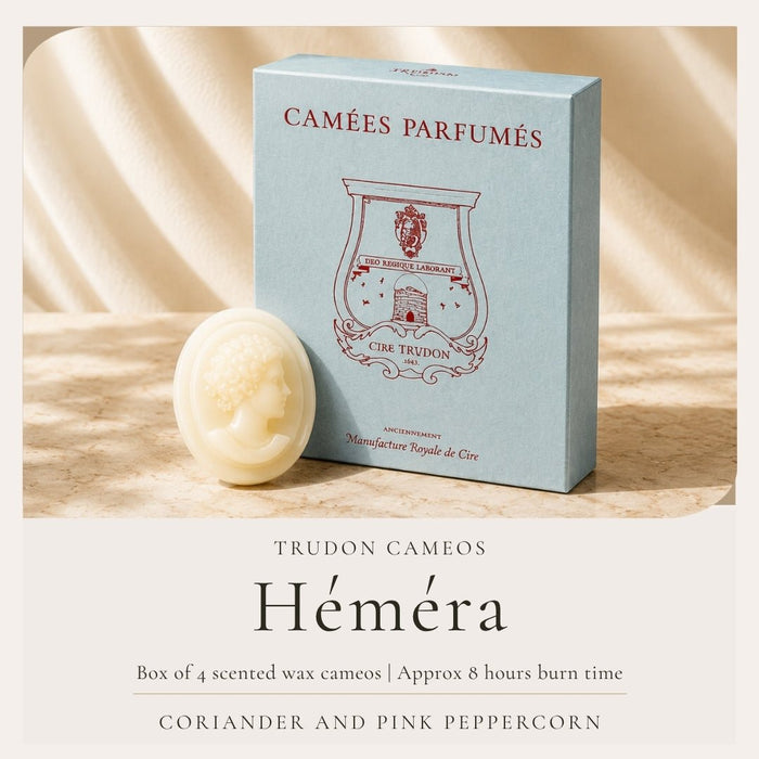 Trudon Héméra Scented Cameos | 4 pack | Coriander and Pink Peppercorn - Suzie Anderson Home