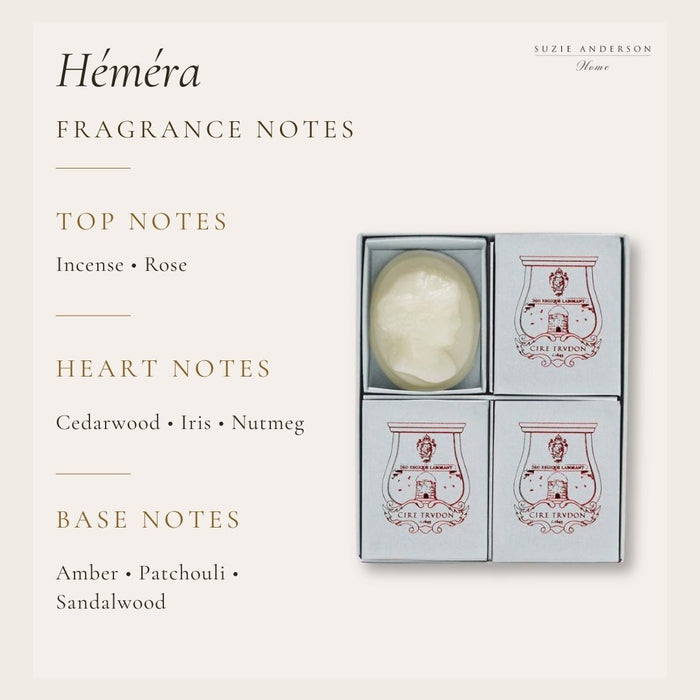 Trudon Héméra Scented Cameos | 4 pack | Coriander and Pink Peppercorn - Suzie Anderson Home