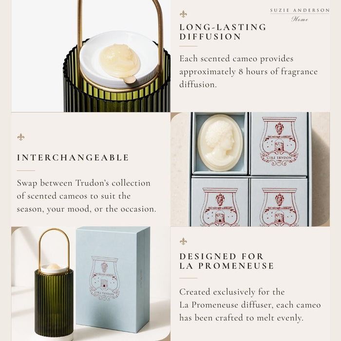 Trudon Gabriel Scented Cameos | 4 Pack | Gourmand Chimney Fire - Suzie Anderson Home