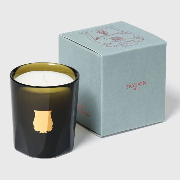 Trudon Petite Candle | Abd El Kader 70g | Moroccan Mint Tea - Suzie Anderson Home