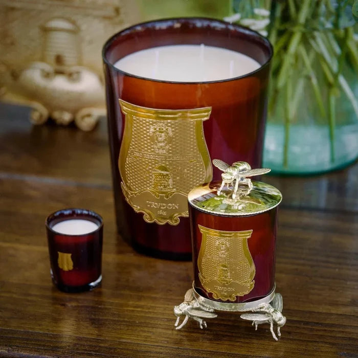 Trudon Petite Candle | Cire 70g | Beeswax Absolute - Suzie Anderson Home