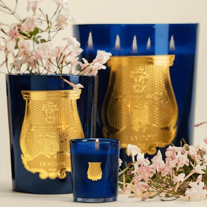 Trudon Petite Candle | Belles Matières Reggio 70g | Hint of citrus from Calabria - Suzie Anderson Home