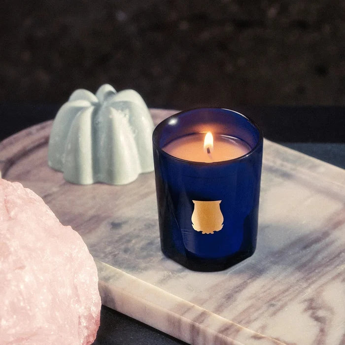 Trudon Petite Candle | Belles Matières Reggio 70g | Hint of citrus from Calabria - Suzie Anderson Home