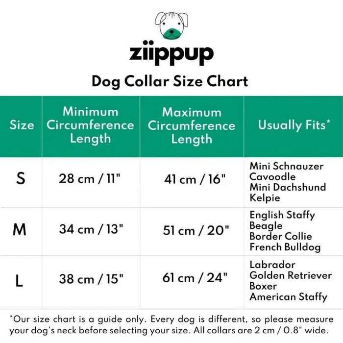 Ziippup | Dog Collar Rainbow (BOWRAL) - Suzie Anderson Home