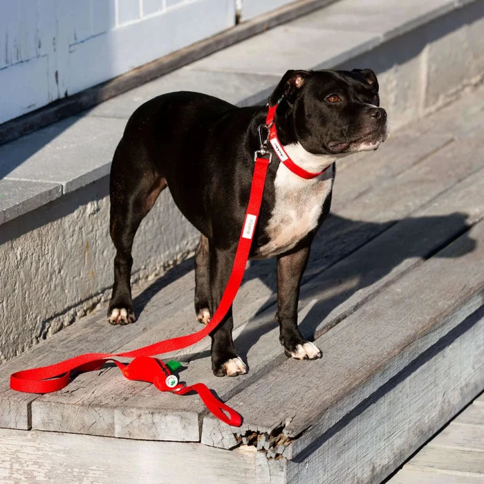 Ziippup | Red Dog Lead with Built in Pocket (BOWRAL) - Suzie Anderson Home